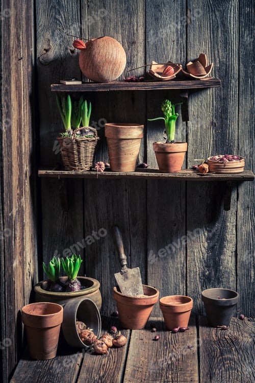 Preview: Wooden shed with old clay pots and gardening tools