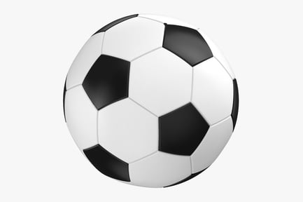 Preview: Regulation Soccer Ball: Black and White Paneling