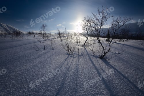 Preview: beautiful arctic winter landscape, very cold climate