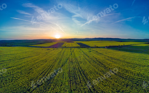Preview: Meadows with a plant in a valley with fields against the background of the daytime sky in Bulgaria