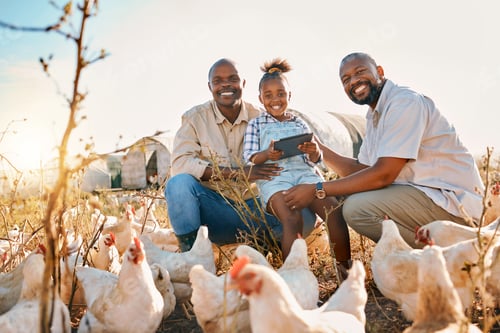 Preview: Family, chicken farm and lgbt portrait in countryside with sustainability, agriculture and kid. Gay