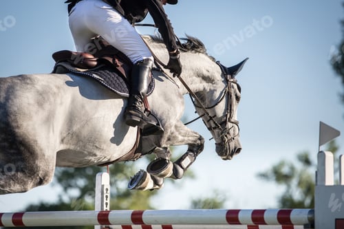 Preview: Horse Jumping, Equestrian Sports, Show Jumping themed photo.
