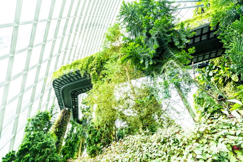 Preview: Beautiful architecture building flower dome garden and greenhous