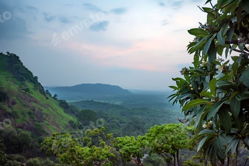 Preview: Scenic view of Srilankan mountain forest