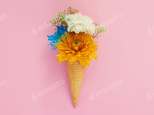 Preview: Shot of a cone stuffed with flowers against a colorful background