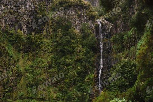 Preview: Travelling and exploring Madeira island landscapes and famous places. Levada Caldeirão Verde hiking