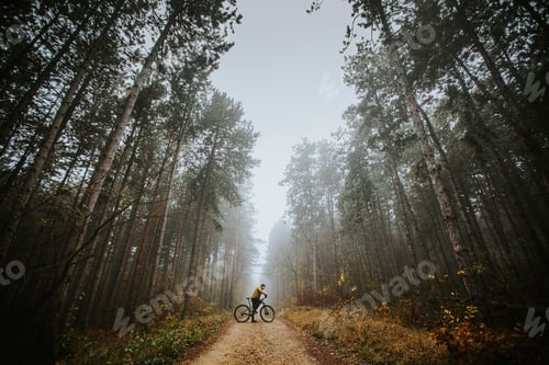 Preview: Young man taking a brake during biking through autumn forest