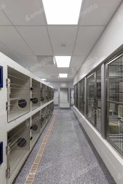Preview: 54303,Metal doors of empty cages in empty animal shelter