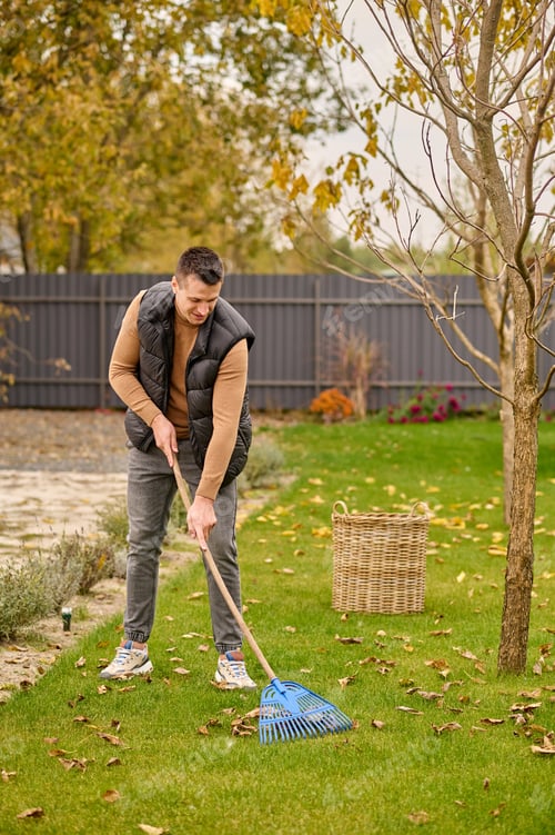 Visualização: Homem varrendo folhas no gramado no jardim