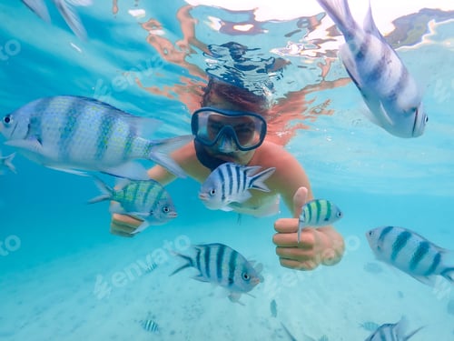 Preview: snorkeling trip at Samaesan Thailand dive underwater with fishes in the coral reef sea pool