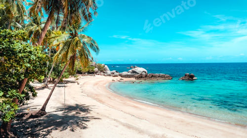 Preview: coconut trees and tropical sea beach in summer