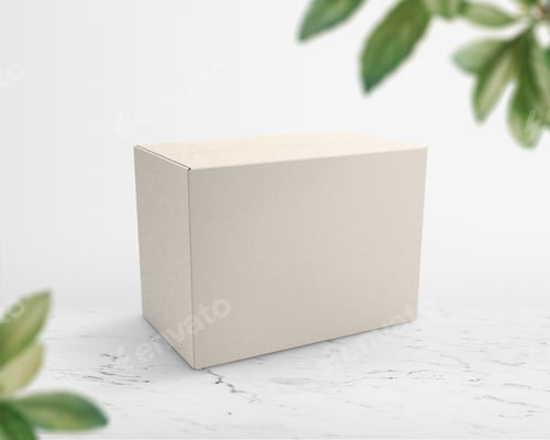 Preview: Beige paper box packaging with design space