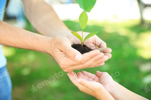 Preview: Man passing soil with green plant to his child on blurred background. Family concept