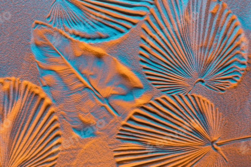 Preview: top view of textured backdrop with leaf prints on sand and color filter