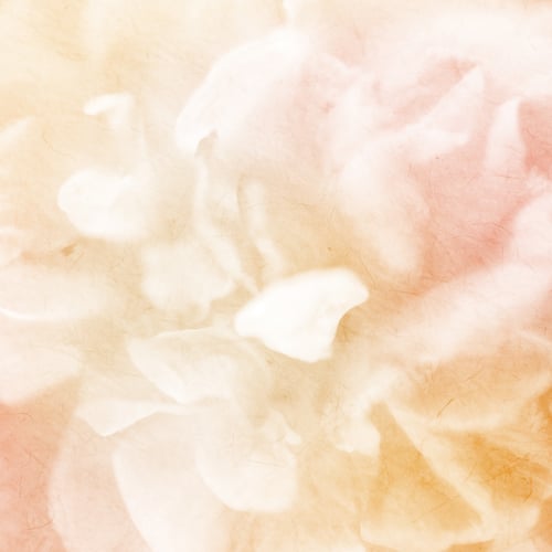 Preview: Subtle Rose Petals Background with Pastel Colors