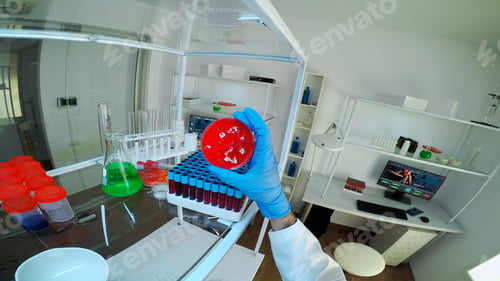 Preview: POV of researcher mouving test tubes with blood and holding patri dish
