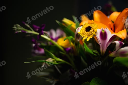 Preview: Still life. luxury spring flowers on a black background. color bloom. Low key photo