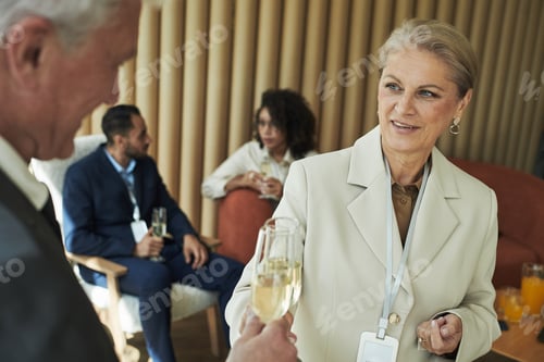 Preview: Senior Caucasian Woman Socializing with Colleagues during Networking Event
