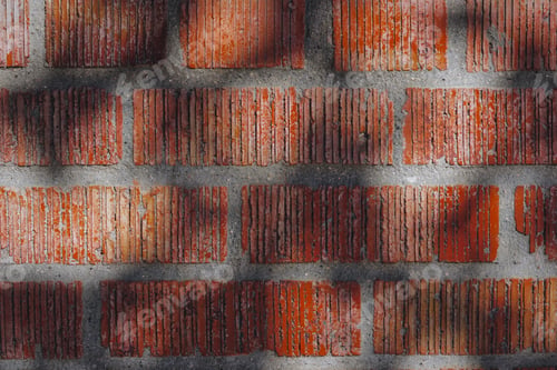Preview: Tree shadow on bricks with light and shadow background