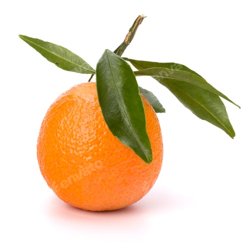 Preview: tangerine i
