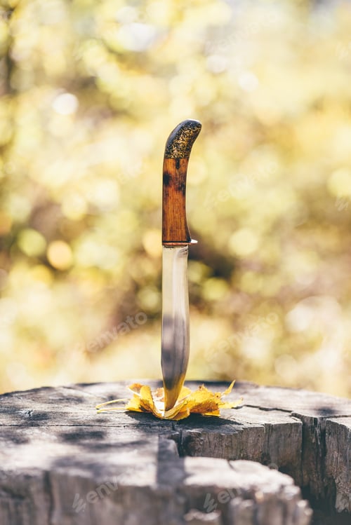 Preview: Knife stabbed in the yellow leaves and old stump