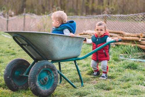 Preview: little toddler rides a brother in a wheelbarrow in nature and smiles. Twins.