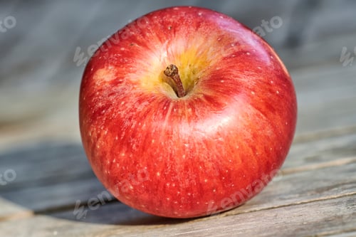 Preview: Apple-picking has never looked so enticing - a really healthy and tempting treat.