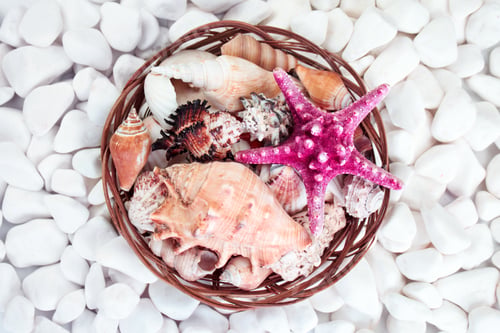 Preview: NOMINATED! basket with seashells and starfish on a background of white stones