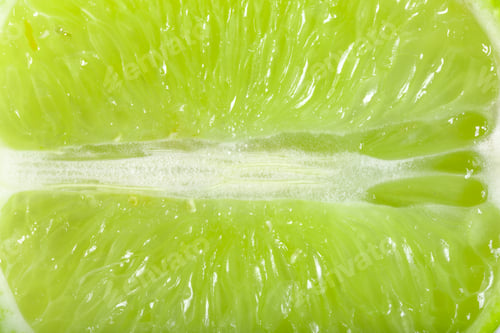 Preview: Studio macro of a beautiful green lime