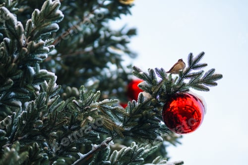 Preview: Close up of balls on christmas snowy tree. Christmas decorations. New Year concept. Winter holidays.