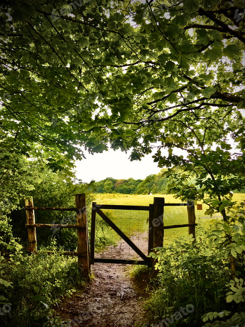 Preview: Wooden fence and gate going out to the open fields