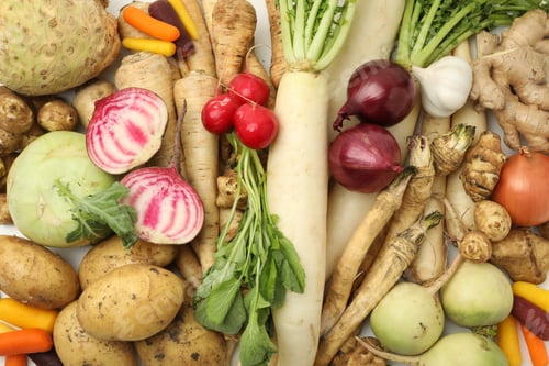 Preview: Many different root vegetables as background, top view