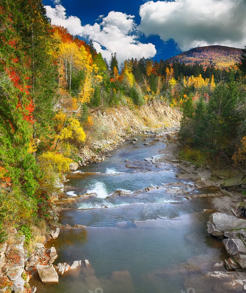 Preview: Autumn creek woods and rocks in forest mountain.