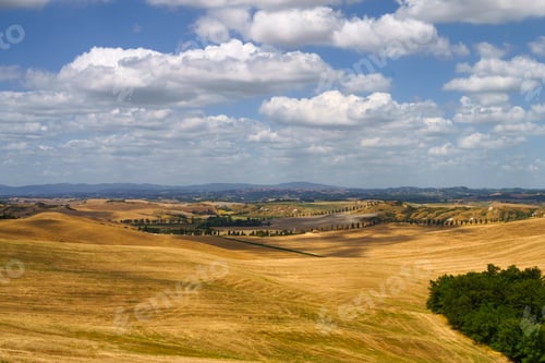 Preview: Rural landscape in Val d Orcia, Tuscany, Italy
