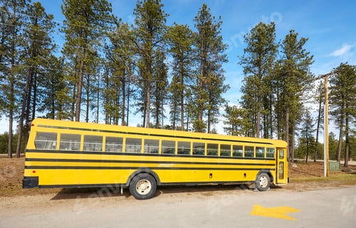 Preview: School bus