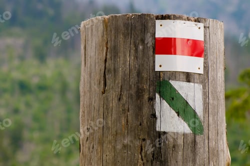 Preview: Red and Green tourist sign on a tree. Designation of tourist routes in the forest