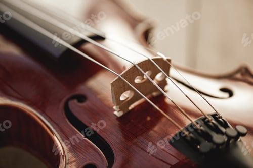 Preview: Close up view of strings of beautiful brown violin lying on wooden background. Musical instruments
