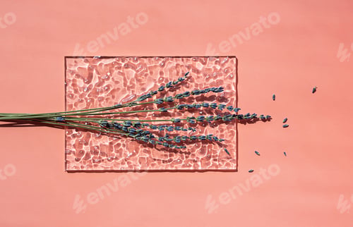 Preview: Lavender creative composition. Trendy artistic mock up with dried flowers.