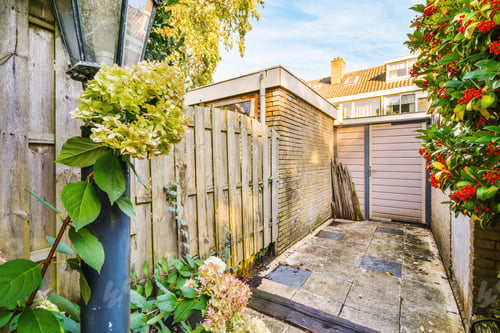 Preview: Delightful landscape of the courtyard with greenery