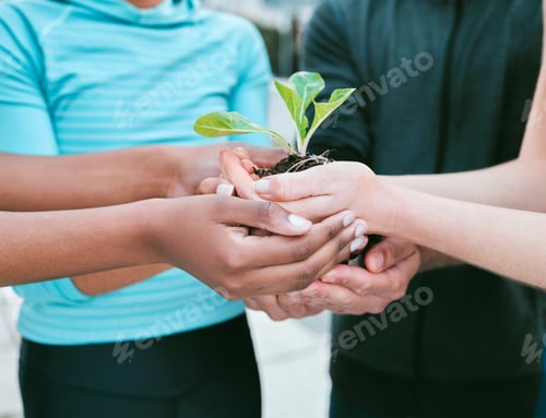 Preview: Closeup of diverse group of people holding a green plant in palm of hands with care to nurture and