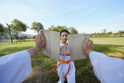 Preview: Sportswoman Breaking Wooden Board