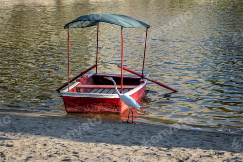 Preview: Great White Egret and small boat at Huacachina Oasis - Ica, Peru