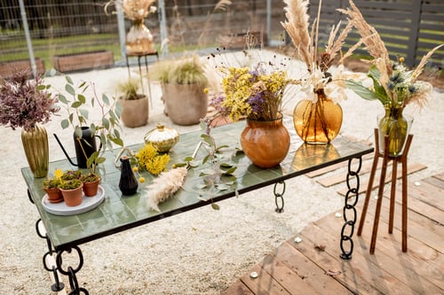 Preview: Table with variety of herbs and flowers