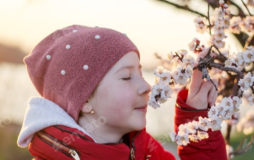 Vorschau: Mädchen schnüffelt Blumen von Aprikosenbaum