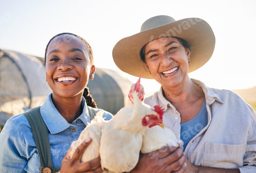 Preview: Farm, chicken and portrait of women in field for animal inspection, growth and health of birds. Agr
