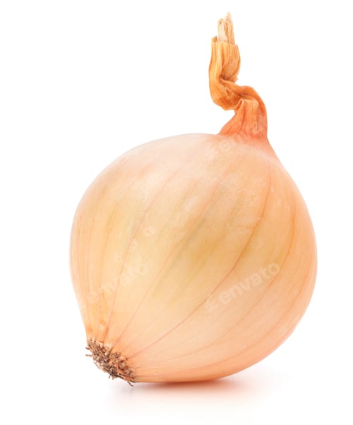 Preview: Onion bulb