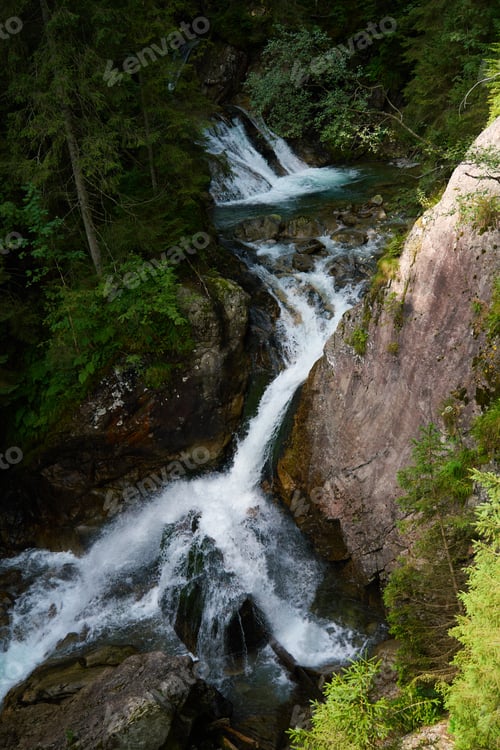 Preview: Mountain river with rapids in rocks among green forest trees