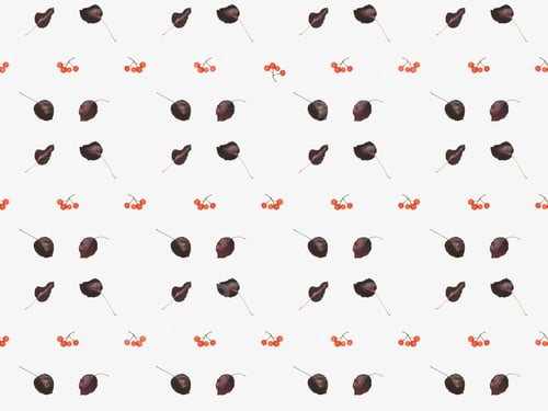 Preview: beautiful floral pattern from dried autumn leaves and berries on white