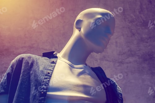 Preview: Boutique mannequin, male figure portrait