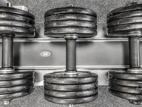 Preview: Old grey gym